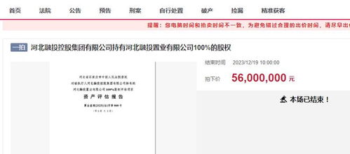 河北石家庄一家房地产开发商50万起被拍卖,拍出5600万